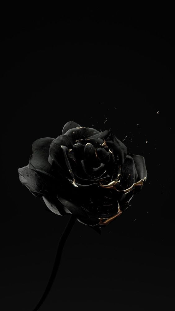 Nền đen hoa hồng cháy độc đáo