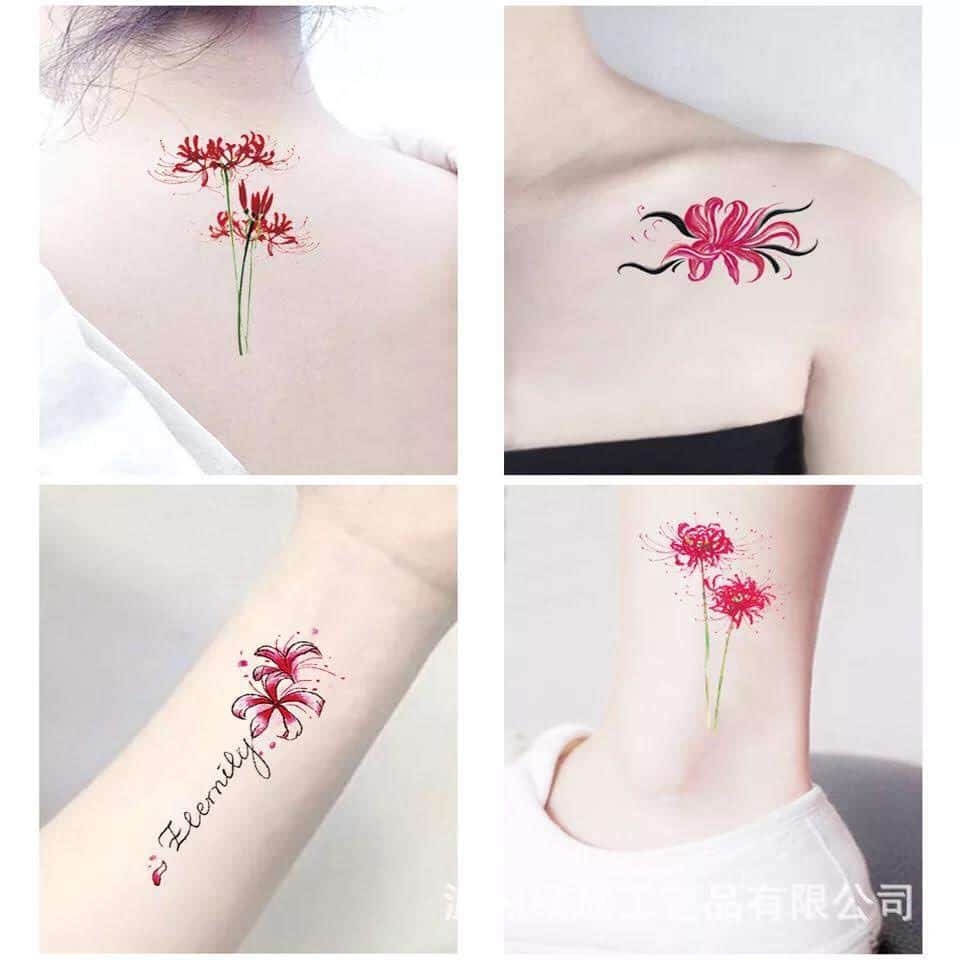 Những mẫu tatoo hoa bỉ ngạn mini