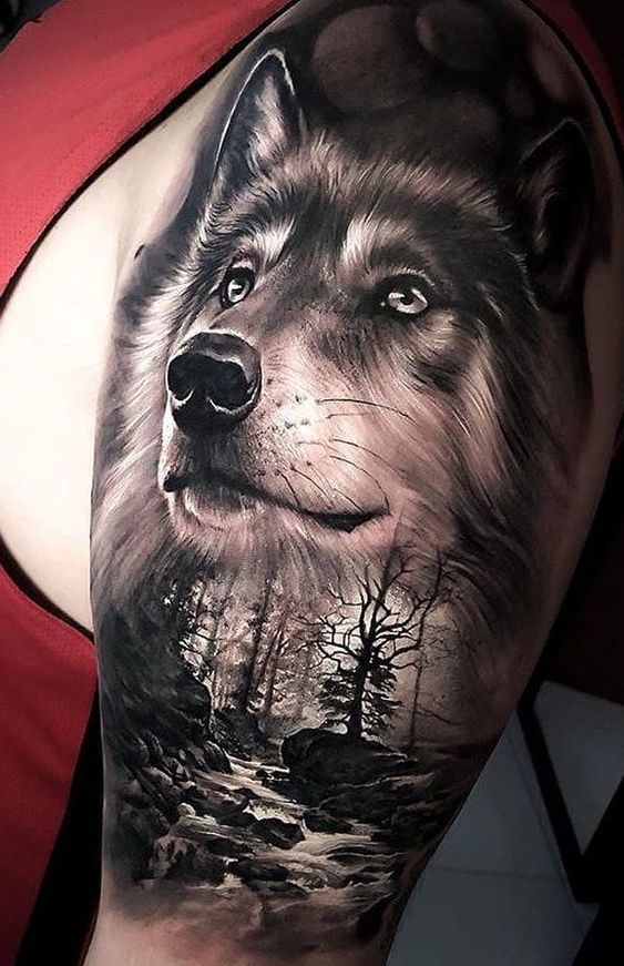 Tattoo hình đầu sói 3d nghệ thuật và chất nhất