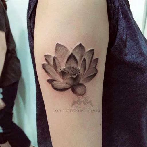 Tattoo xăm hoa sen đen trắng ở tay