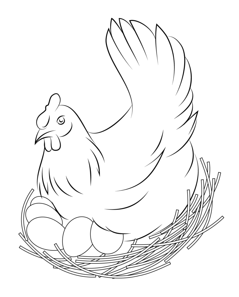 Tranh con gà mái ấp trứng