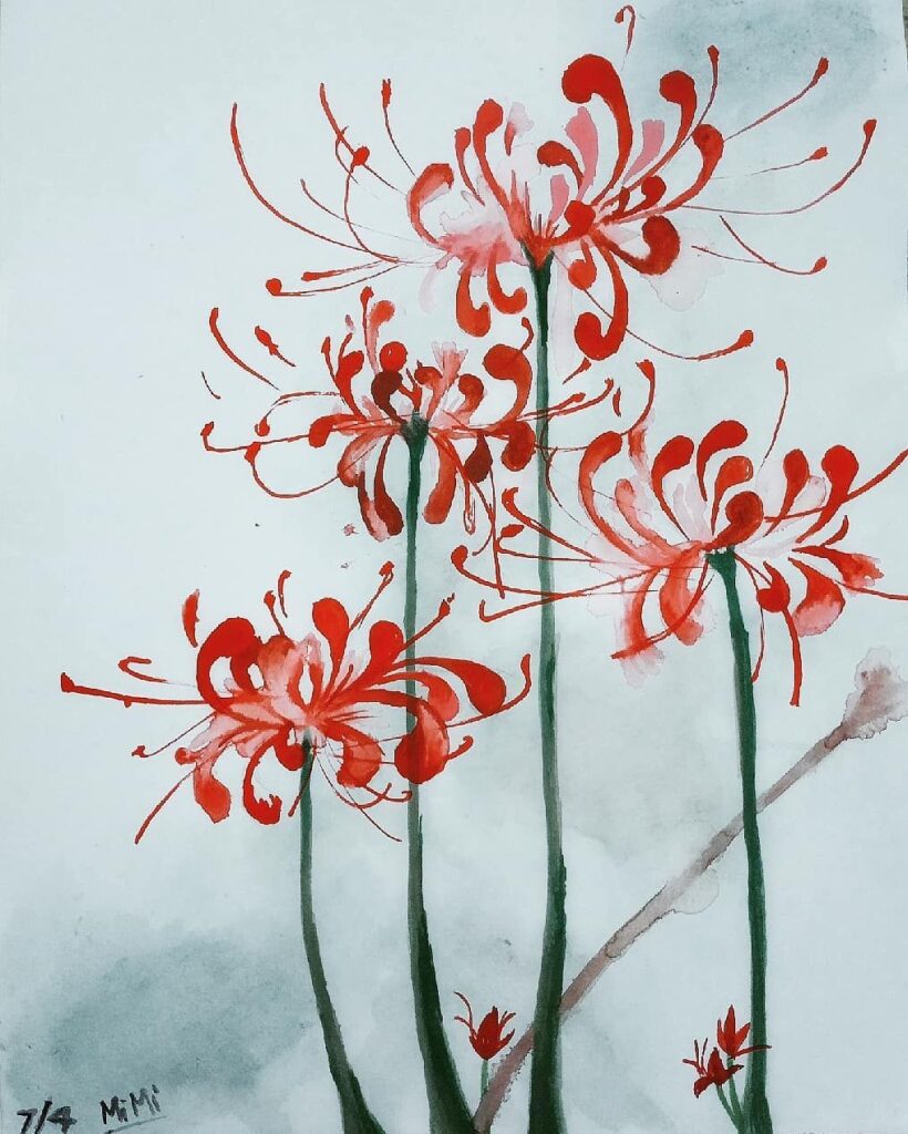Chi tiết nhiều hơn 85 vong xuyên hình nền hoa bỉ ngạn hay nhất  Tin học  Đông Hòa