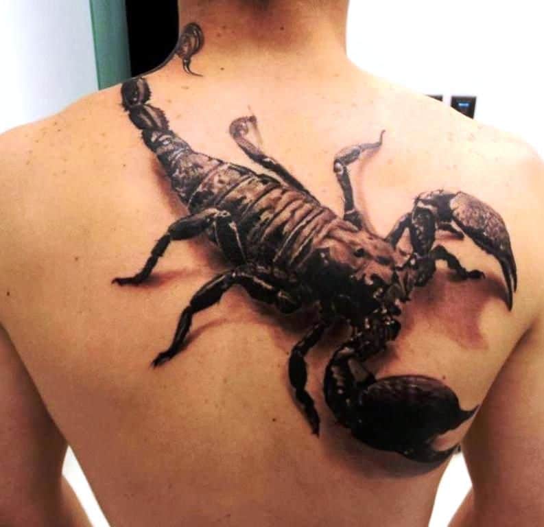 Xăm bọ cạp to trên lưng nam