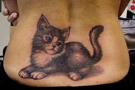 hình tattoo con mèo ở lưng