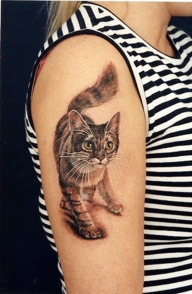 mẫu hình tattoo mèo ở tay nữ như thật