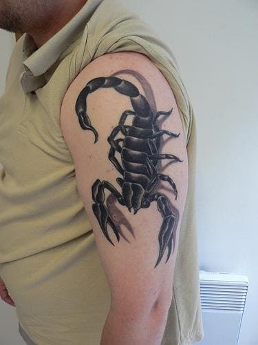 mẫu tattoo 3d bọ cạp đẹp