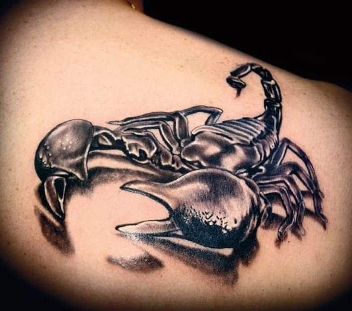 mẫu tattoo 3d bọ cạp kinh dị