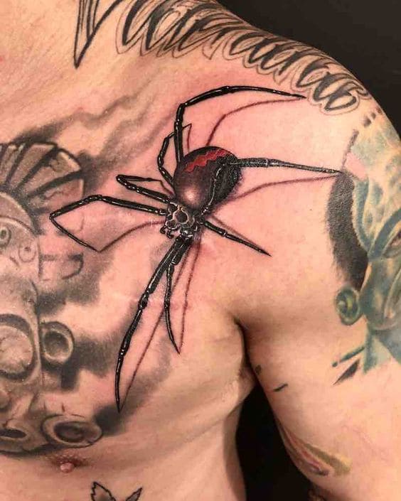 mẫu tattoo nhện 3d bò