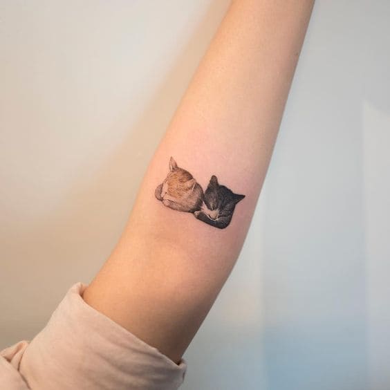 mẫu xăm tattoo hai chú mèo đáng yêu ở tay