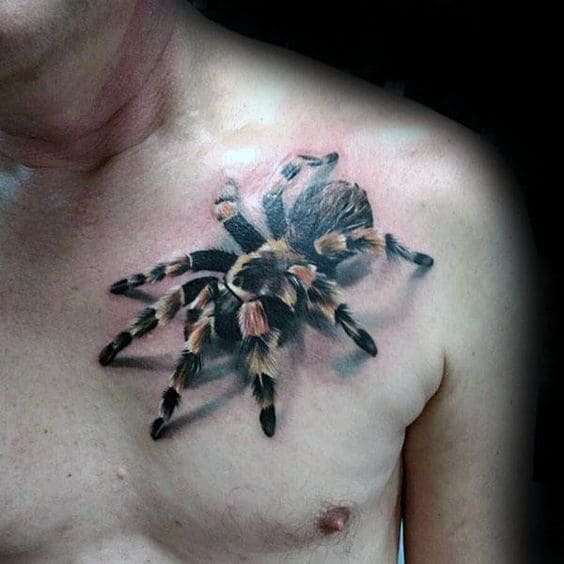 mẫu xăm tattoo nhện 3d bò như thật