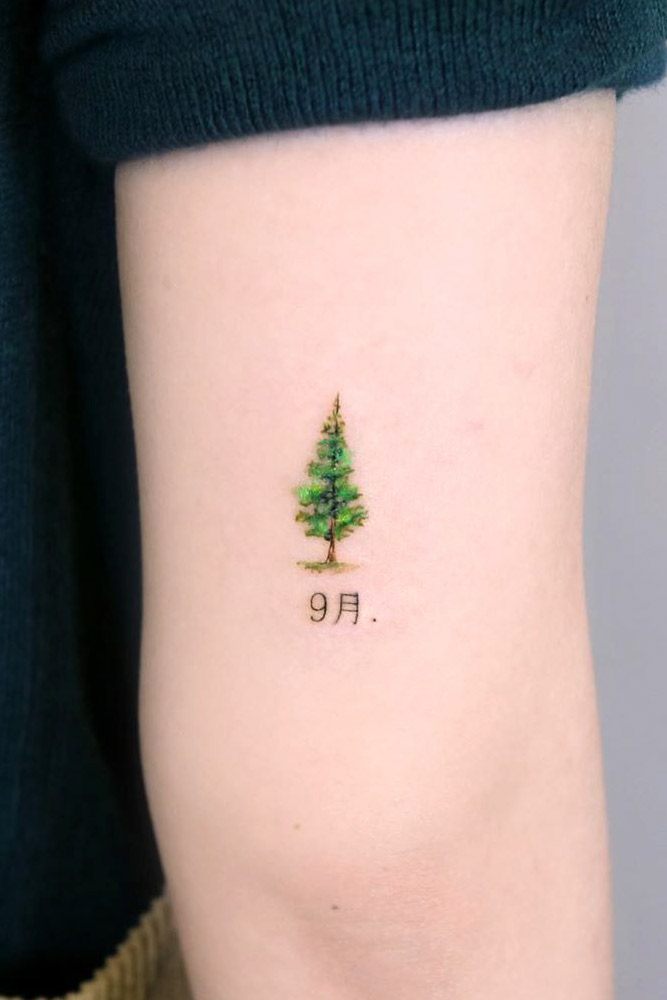 Ảnh tattoo cây thông nhỏ đẹp ở tay