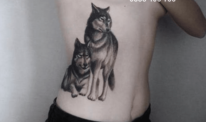 Ảnh tattoo chó sói bên hông chất nhất cho con gái