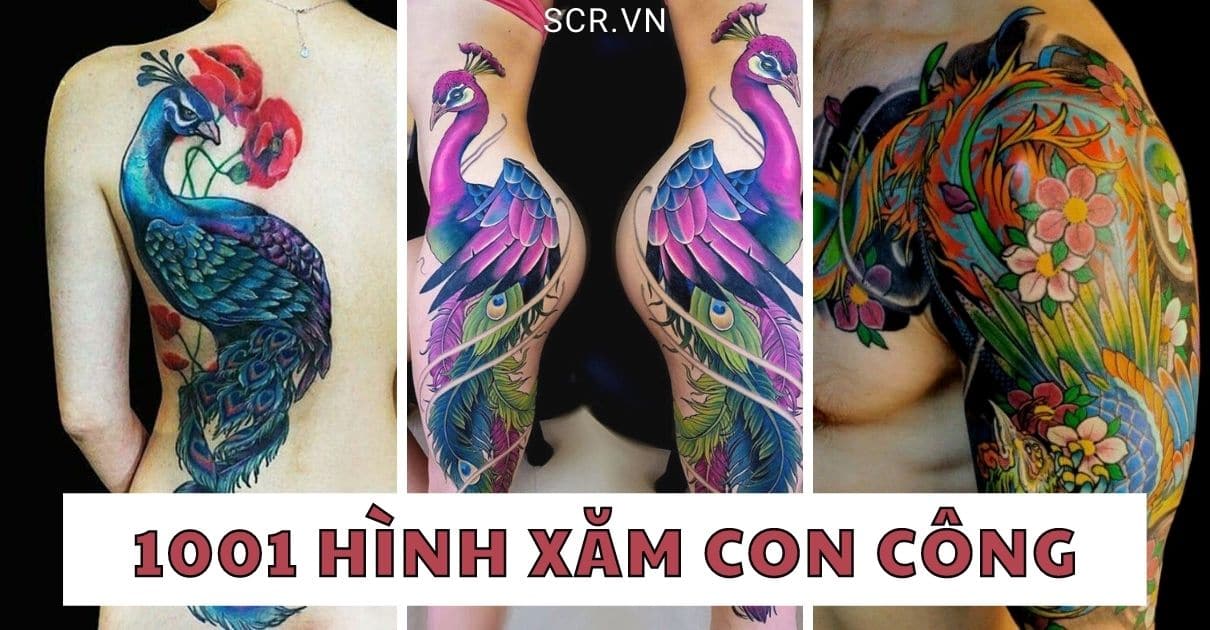HINH XAM CON CONG