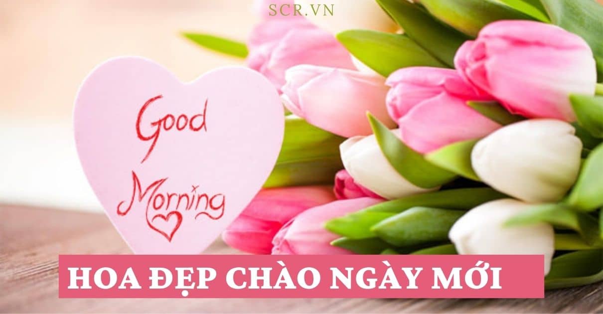 HOA DEP CHAO NGAY MOI