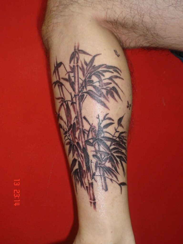 Hình tattoo cây tre trúc đẹp