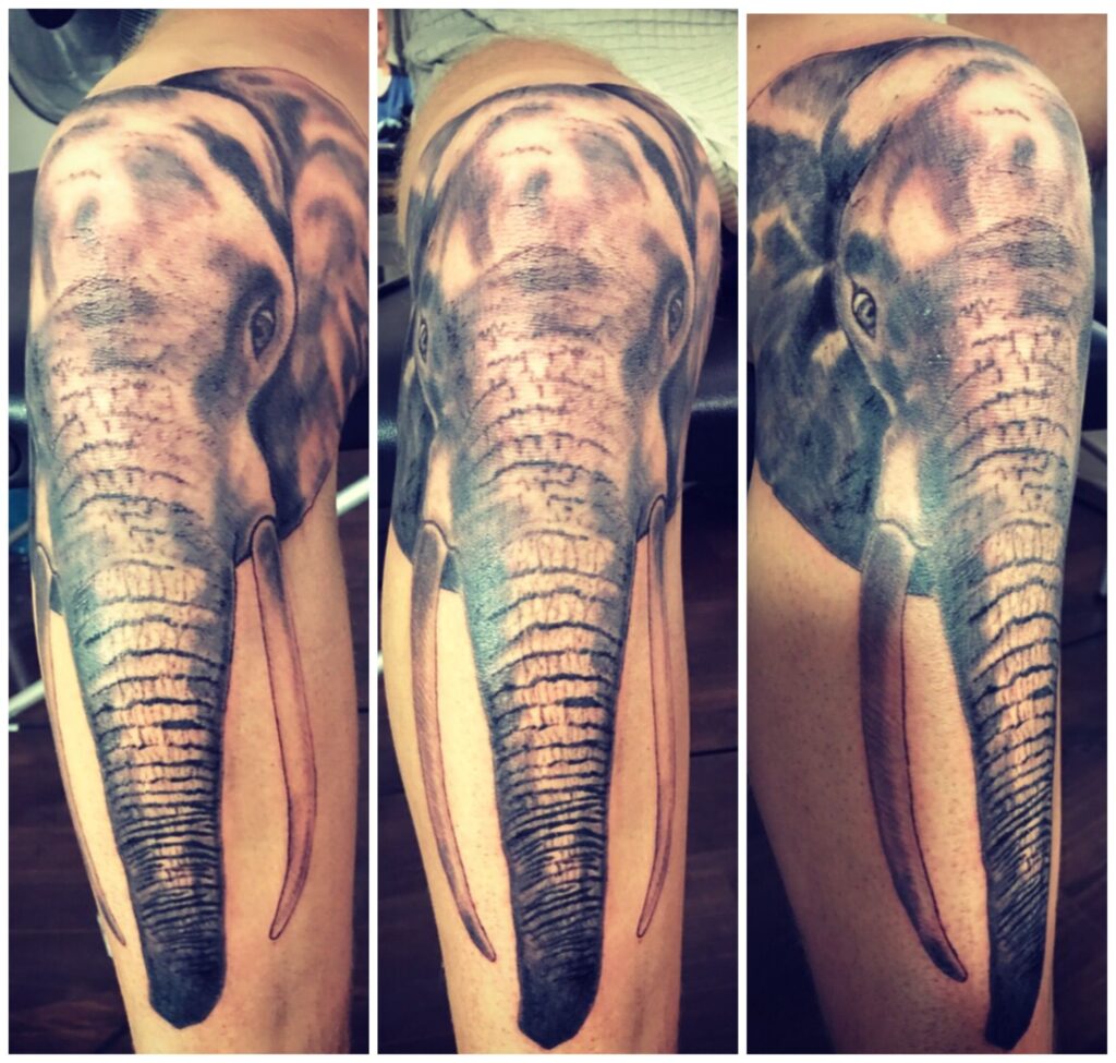 Hình tattoo chú voi ngay đầu gối