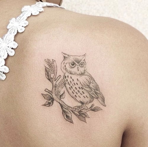 Hình tattoo cú mèo đơn giản
