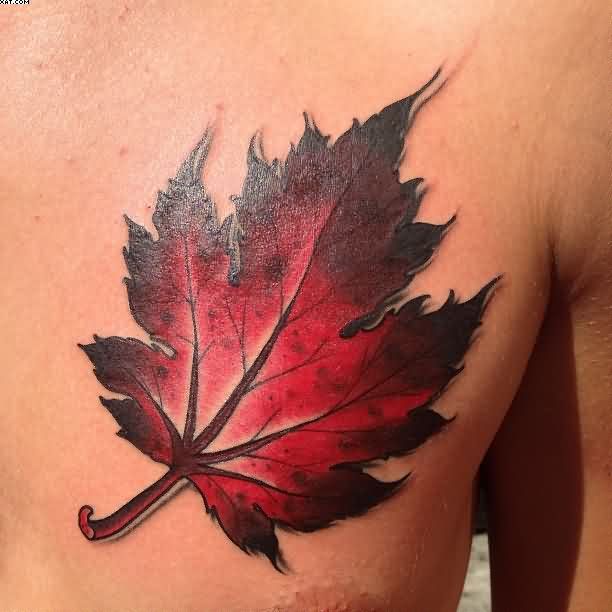Hình tattoo lá phong đỏ đẹp nhất