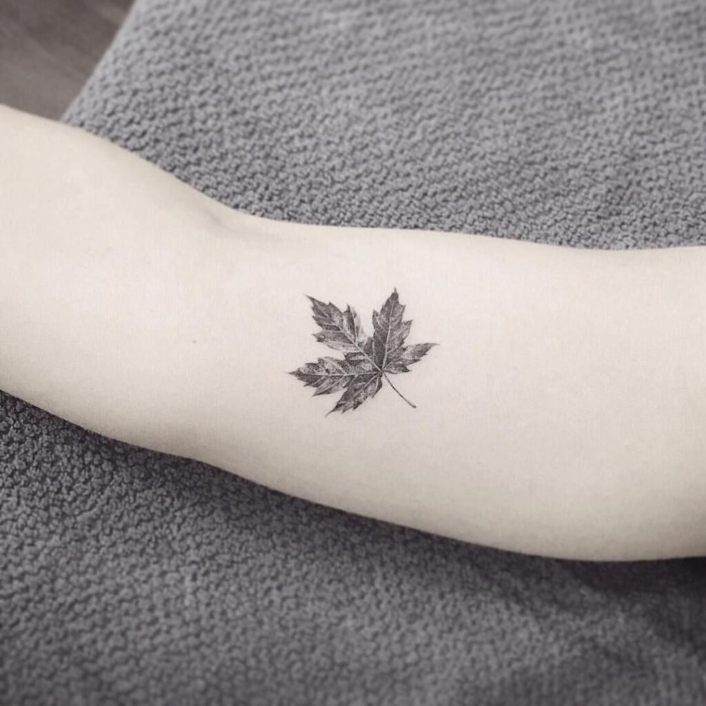 Hình tattoo lá phong ở tay đẹp