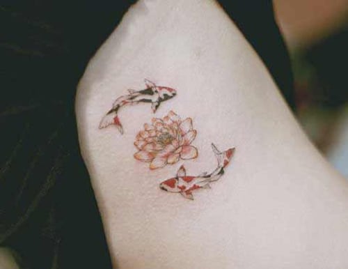 Mẫu tattoo cá chép và hoa sen nhỏ đẹp cho cung song ngư