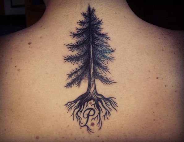 Mẫu tattoo cây thông phía sau lưng