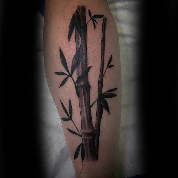 Mẫu tattoo cây tre cây trúc trên cánh tay