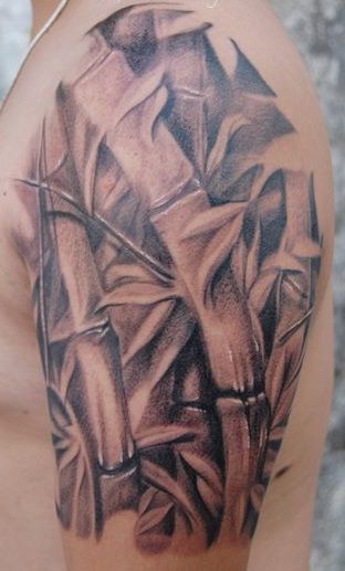 Mẫu tattoo ở bắp tay nam hình cây tre cây trúc