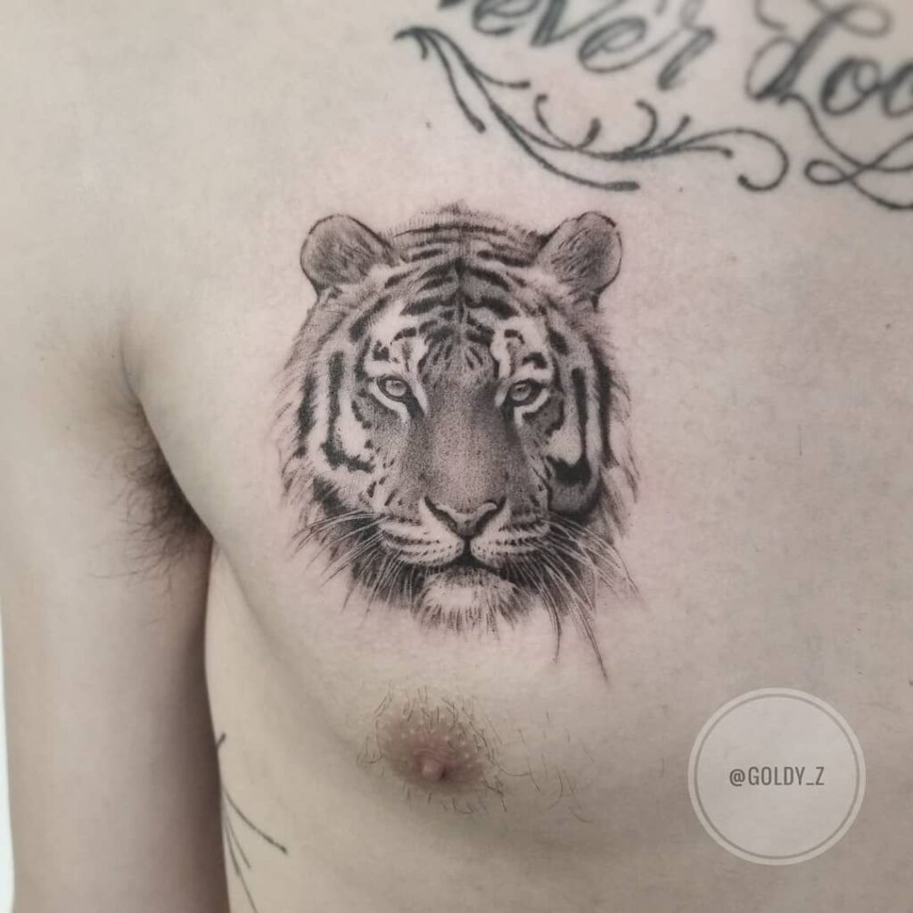 Mẫu xăm ngực nam tattoo con hổ nhỏ