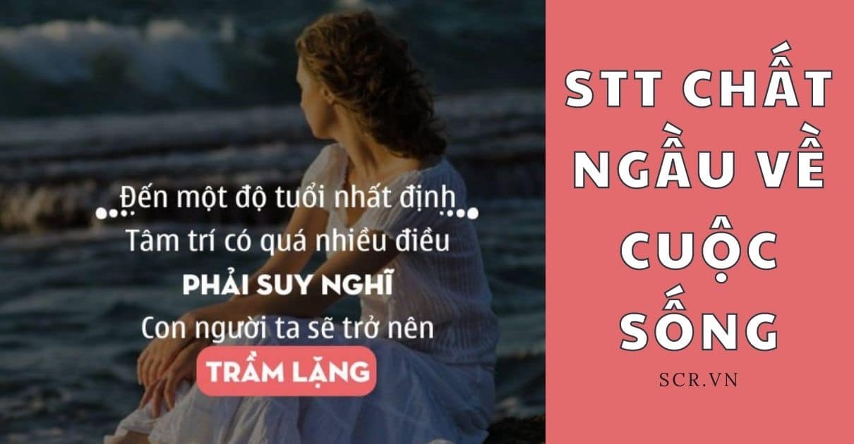 STT CHAT NGAU VE CUOC SONG -danhngon24h