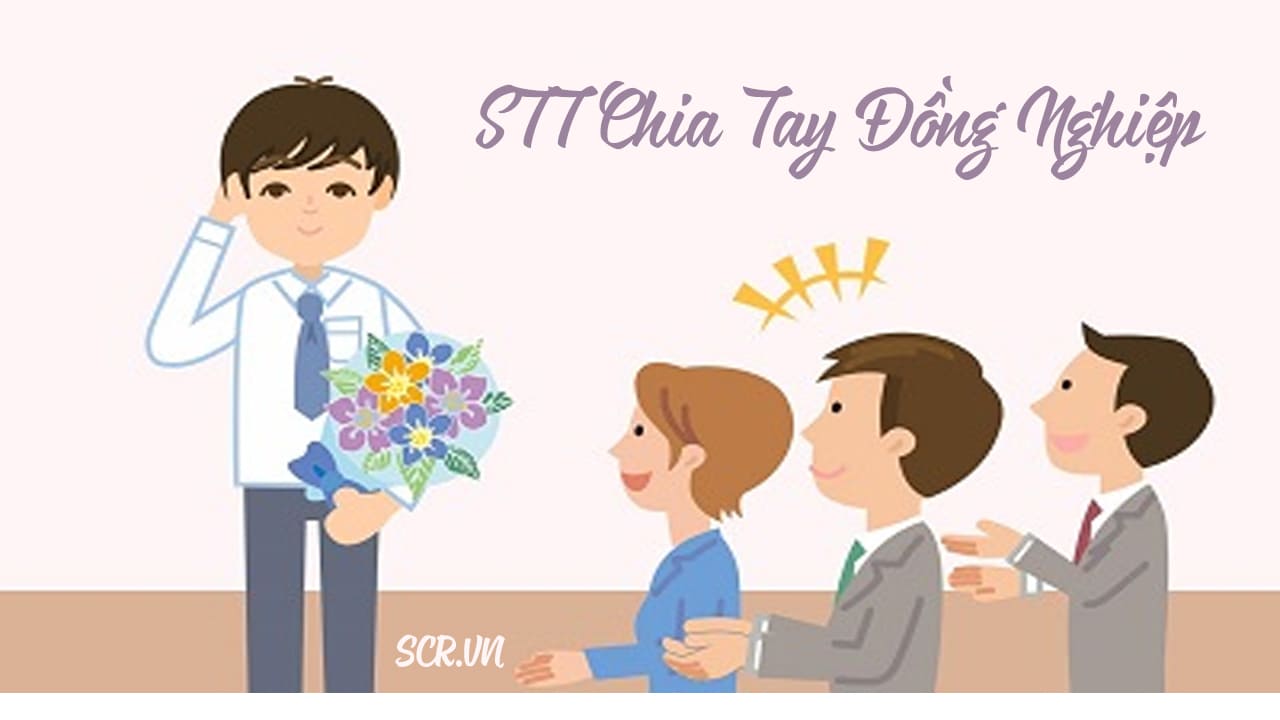 STT Chia Tay Đồng Nghiệp