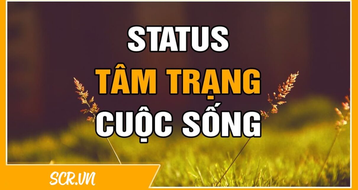 STT Tam Trang Ve Cuoc Song