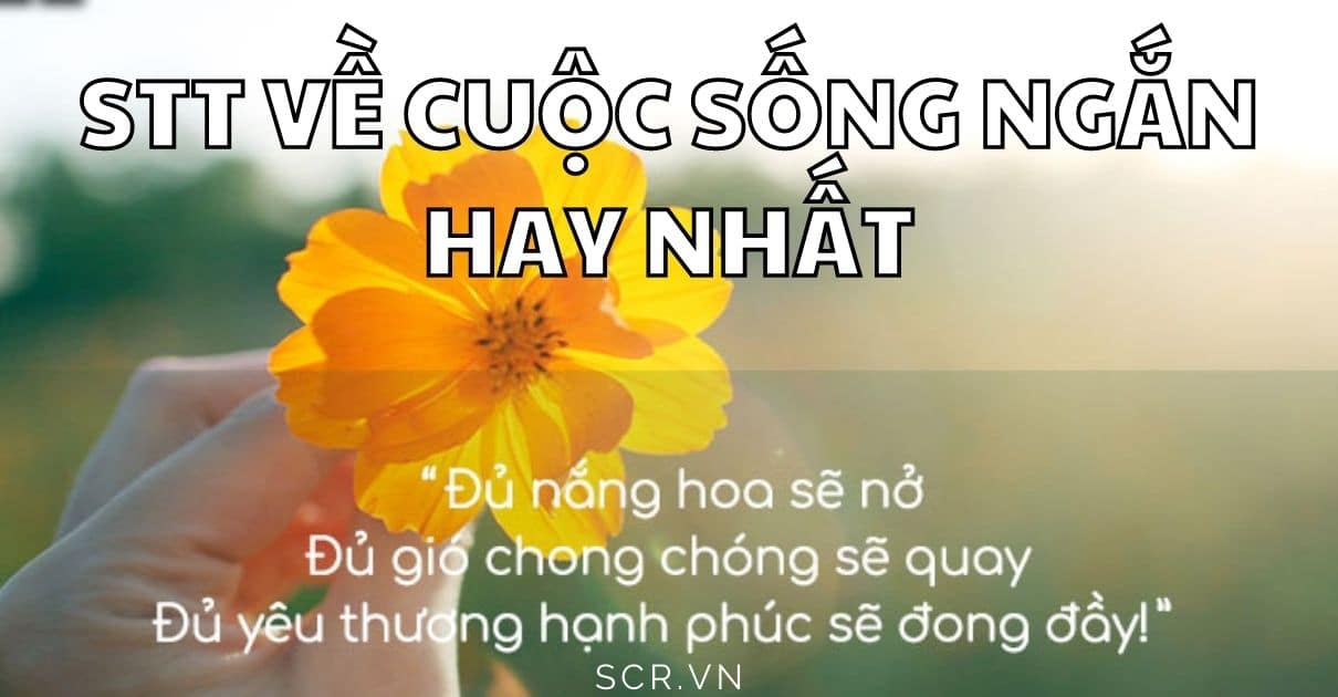 STT VE CUOC SONG NGAN HAY NHAT -danhngon24h