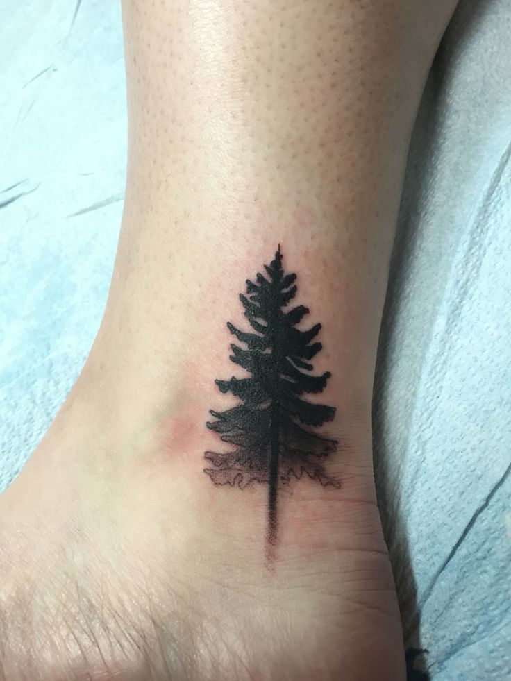 Tattoo cây thông nhỏ ở cổ chân