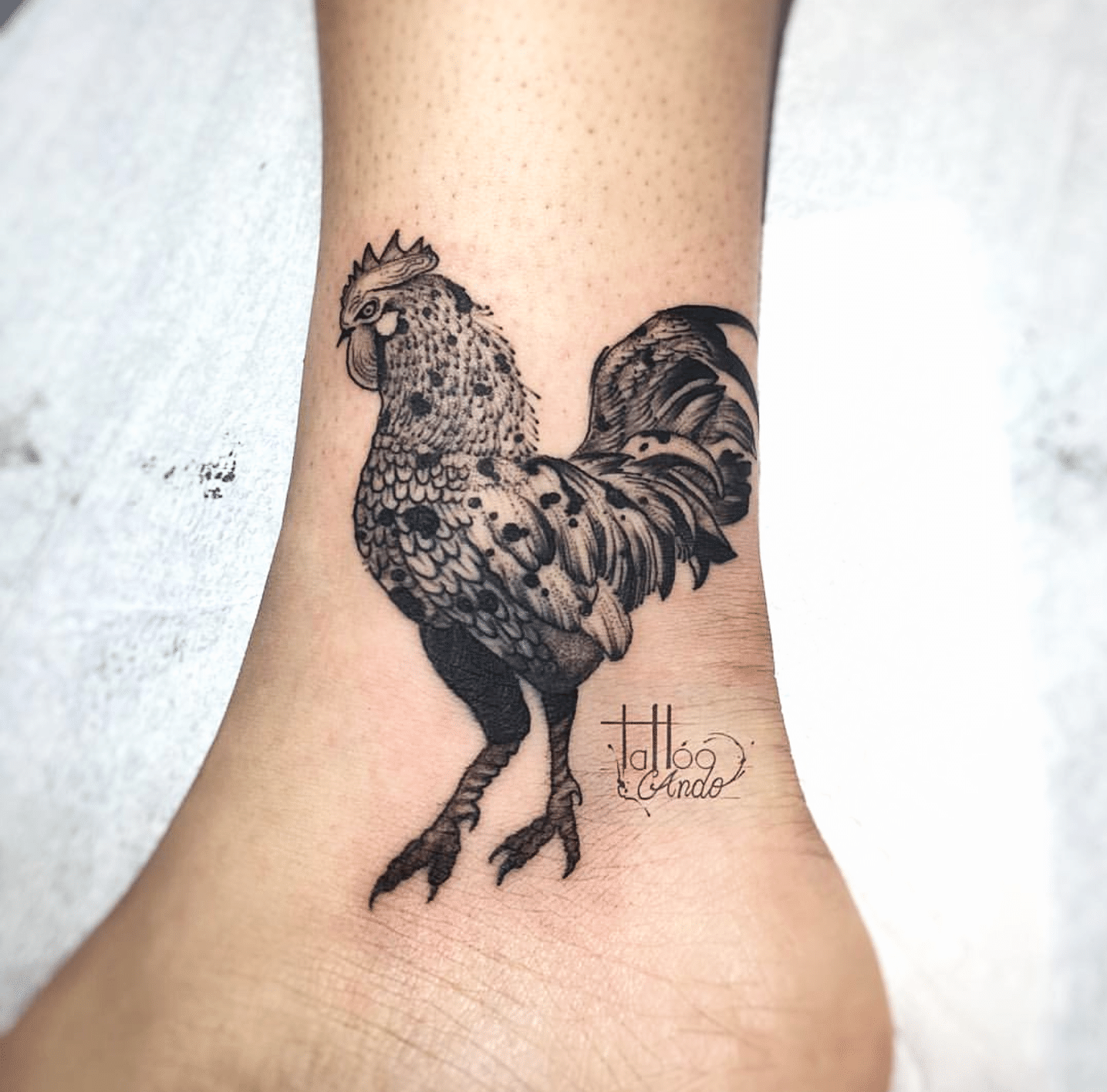 Tattoo gà trống trên chân con gái