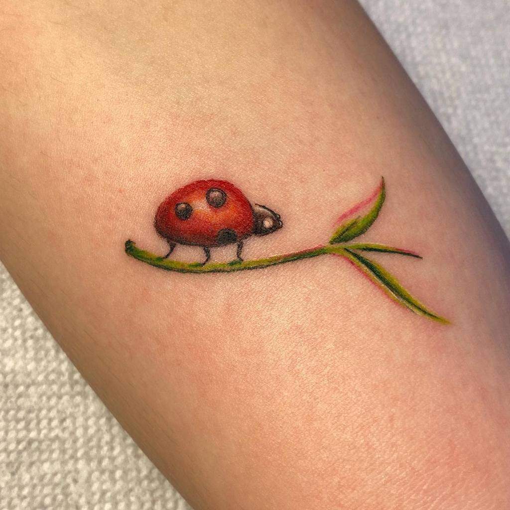 Tattoo xăm con bọ rùa cute dễ thương