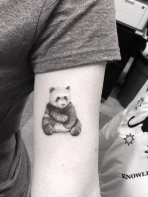 Tattoo xăm gấu trúc ở tay đẹp