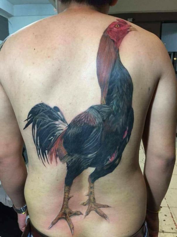 Xăm con gà lên toàn bộ lưng