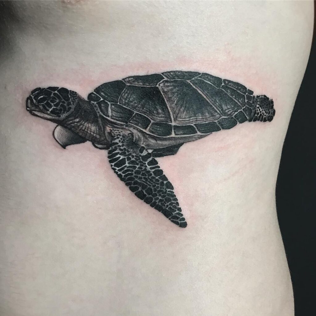 Hình Xăm Con Rùa Đẹp ️ 1001 Tattoo Rùa Thần, Đầu Rồng - Homemy