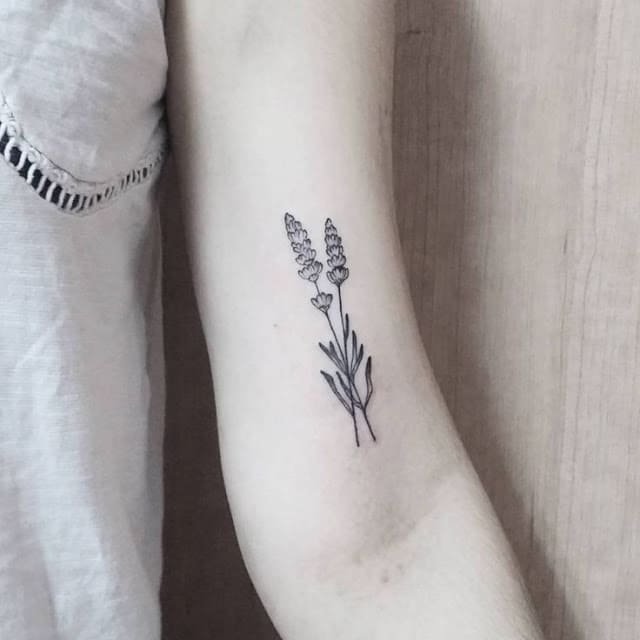 mẫu tattoo lá đẹp ở bắp tay trong