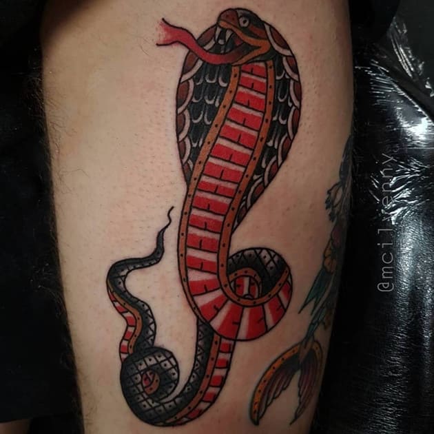 mẫu tattoo old shool hình con rắng hổ mang chất