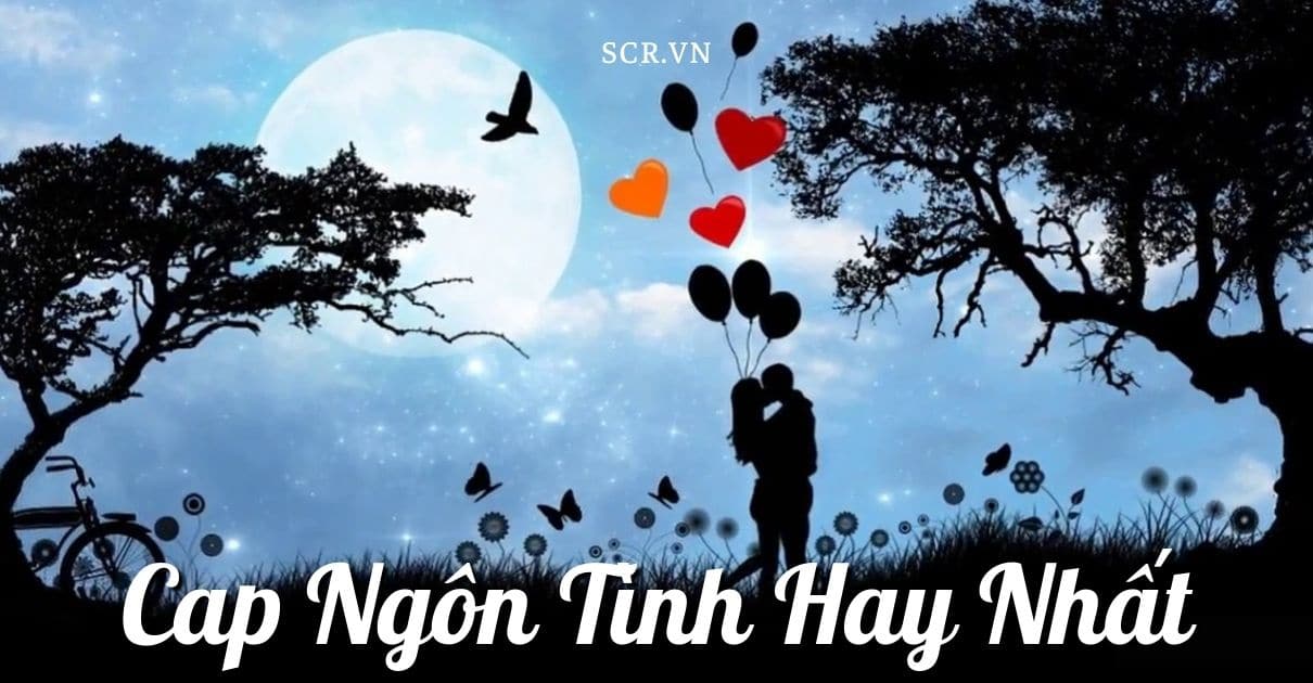 CAP NGON TINH NGAN -danhngon24h