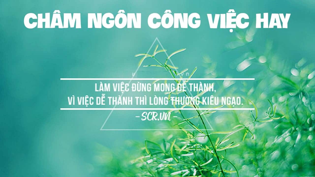 CHÂM NGÔN CÔNG VIỆC HAY