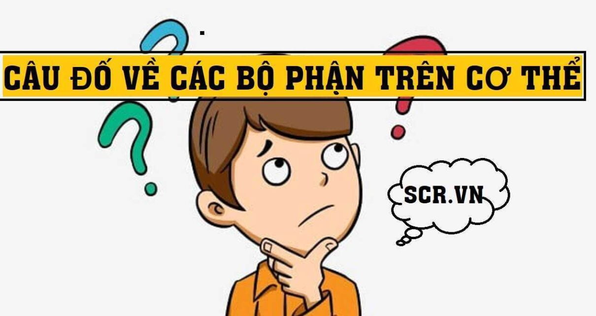 Cau Do Ve Cac Bo Phan Tren Co The 1 câu đố về quả cho trẻ mầm non | Hỏi gì?