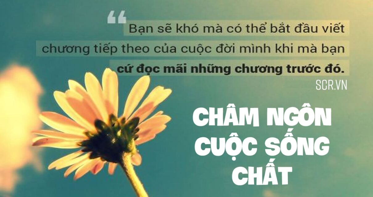 Cham ngon cuoc song chat