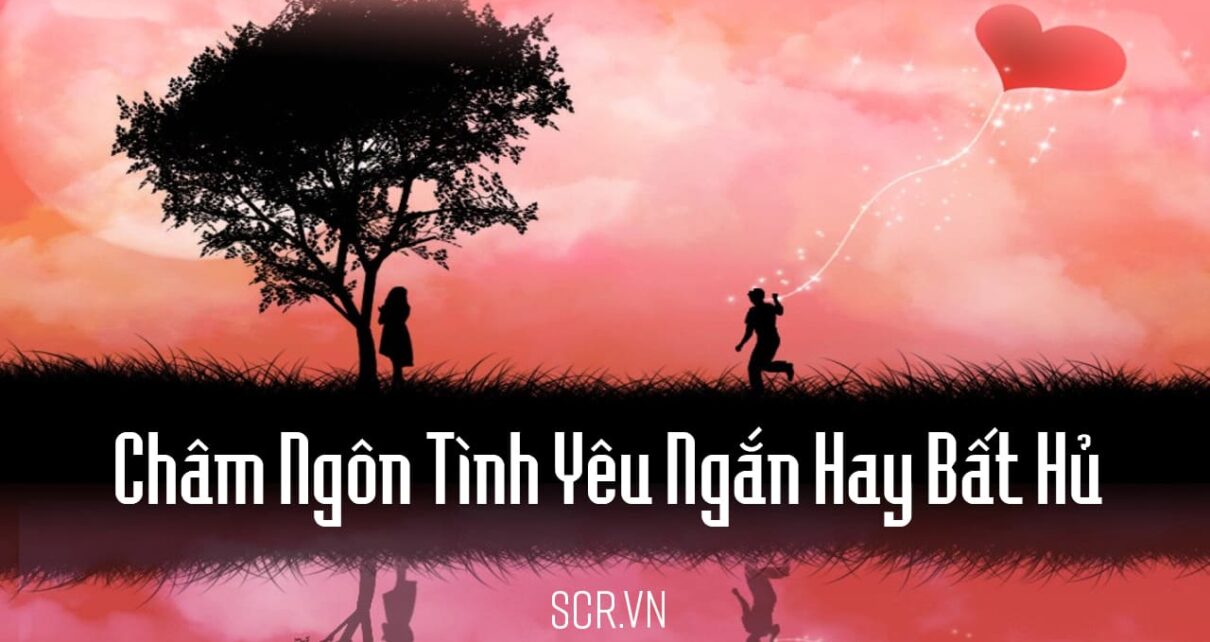Cham Ngon Tinh Yeu