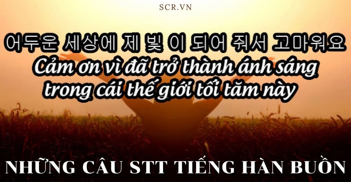 NHUNG CAU STT TIENG HAN BUON -danhngon24h
