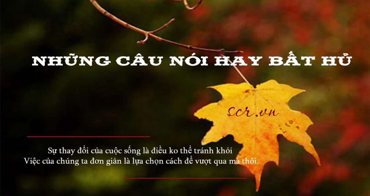 Nhung Cau Noi Hay Bat Hu