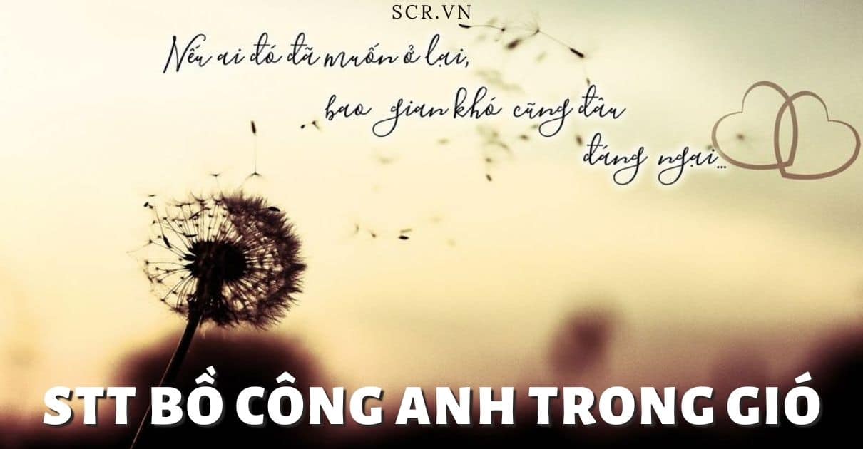STT BO CONG ANH TRONG GIO HAY NHAT -danhngon24h