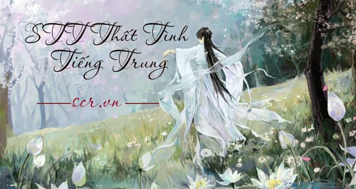 STT That Tinh Tieng Trung -danhngon24h
