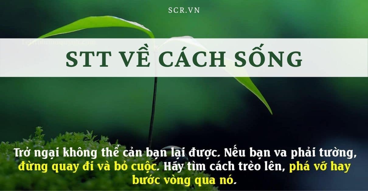 Stt Mẹ Yêu Con ❤ Mẹ Dành Cho Con Trai, Con Gái Hay – SCR.VN